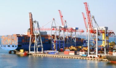 Shipping Consultancy